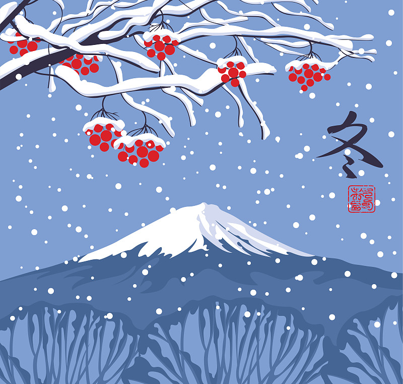 冬天,雪,地形,山,东,山梨树,花楸浆果,一月,十二月,富士山