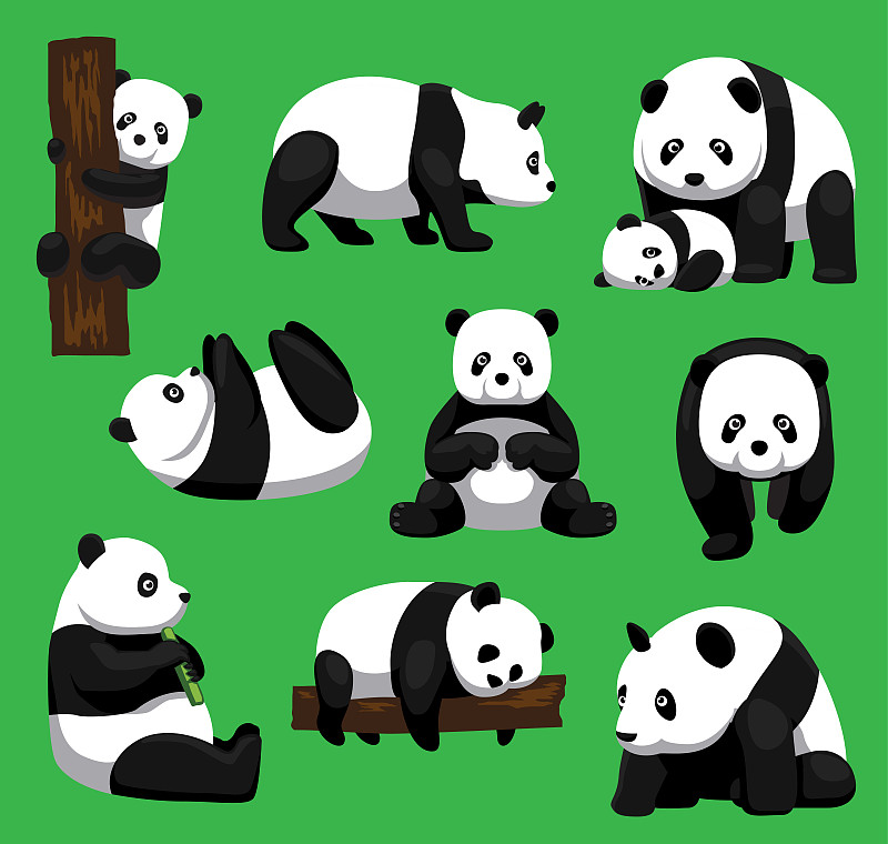 绘画插图,卡通,熊猫,矢量,数字9,注视镜头,水平画幅,野外动物,组物体,熊
