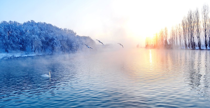 冬天,天鹅湖,都市风光,自然美,水,天空,美,水平画幅,无人,鸟类