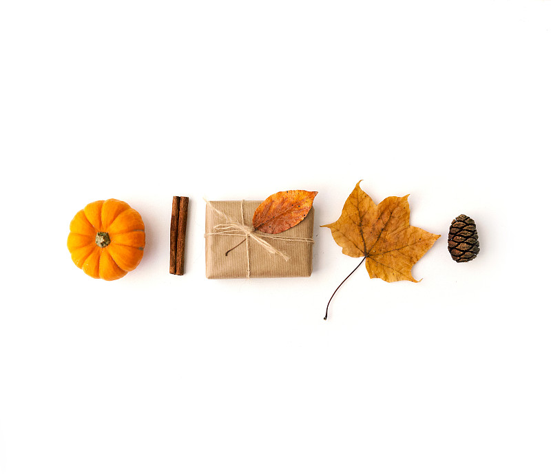 秋天,平铺,秋季系列,正上方视角,橡树果,茴芹,明星,贺卡,生日,干的