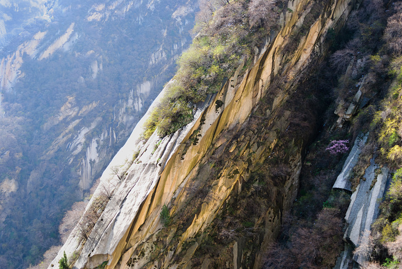 华山,野生动物保护区,自然荒野区