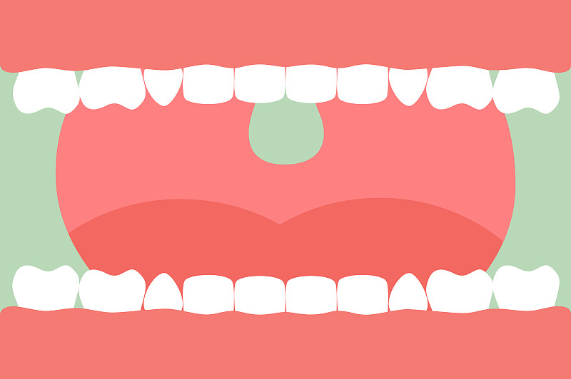 人的牙齿,假牙,磨牙