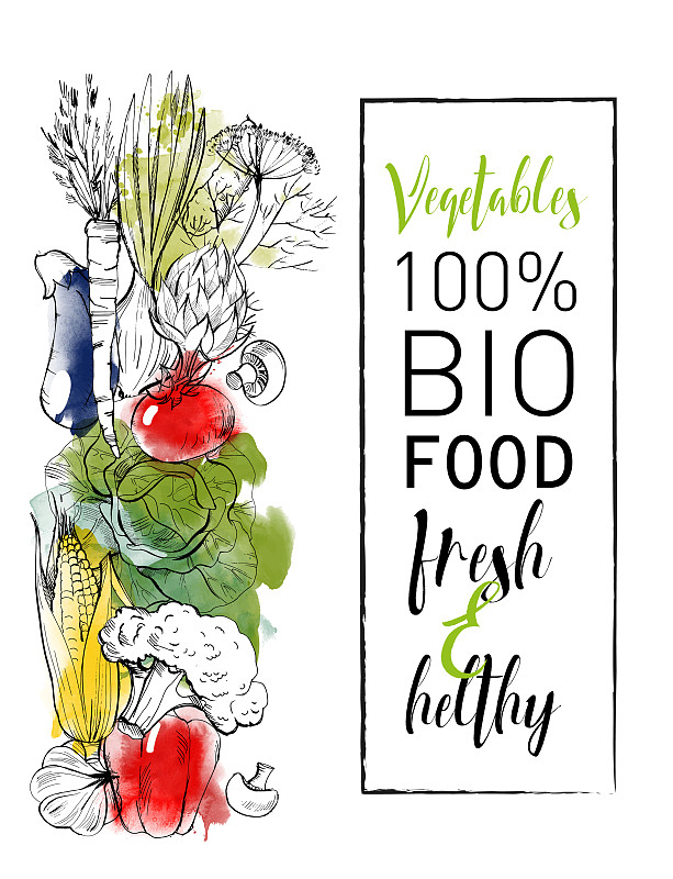 蔬菜,垂直画幅,绘画插图,胡萝卜,边框,素食,夏天,组物体,椒类食物,西红柿