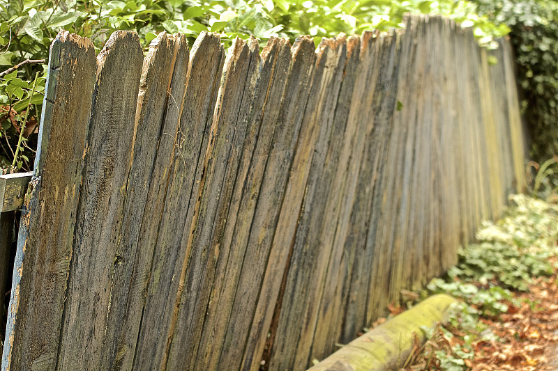 篱笆,雪松,木材着色料