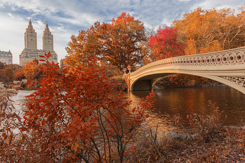 中央公园,弓桥,秋天,水,天空,美,公园,水平画幅,无人,户外