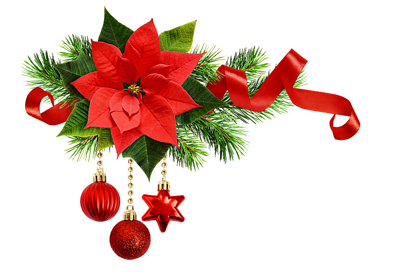 猩猩木,丝绸,松树,嫩枝,缎带,红色,圣诞装饰,球,贺卡,水平画幅