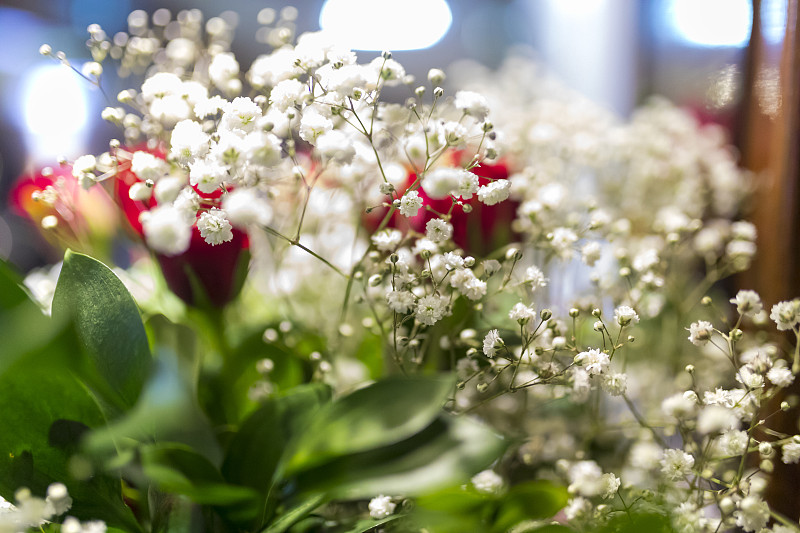 水香花菜,特写,花束,婴儿,呼吸气,,婚礼,布里斯托大学,仙女,白色,花