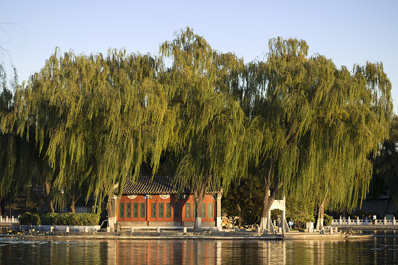 北京,湖,中国,什刹海,北海公园,柳树,景观设计,晴朗,远古的,水平画幅
