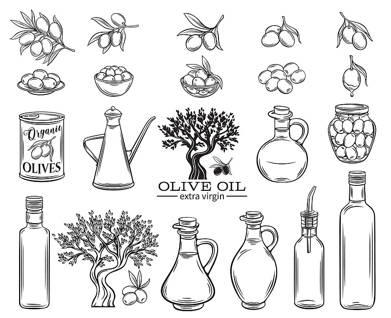 橄榄油,绘画插图,素食,古老的,标签,计算机制图,计算机图形学,农作物,瓶子