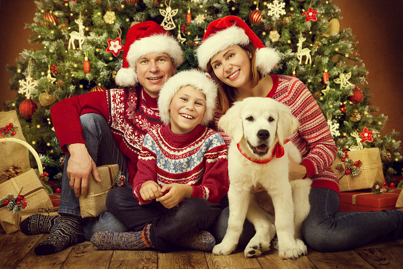白色,狗,儿童,节日,小狗,在下面,圣诞帽,母亲,幸福