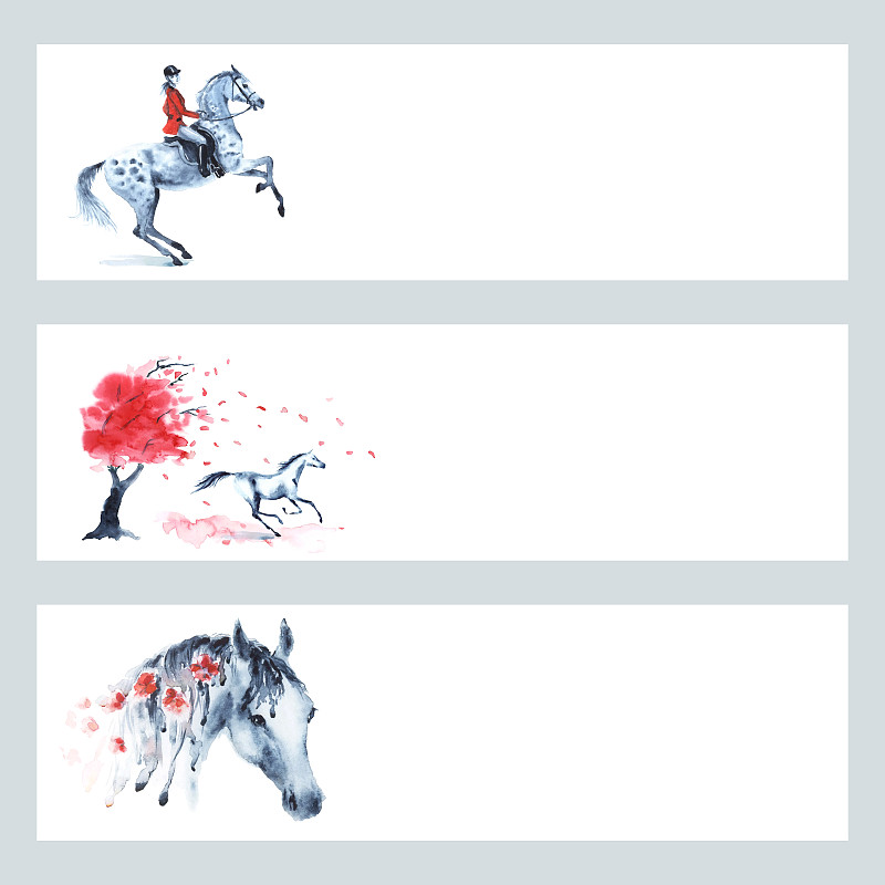 猎狐比赛,马,传统,英格兰,网站横幅,红色,高雅,骑马的事件,跳马,灰色斑纹马