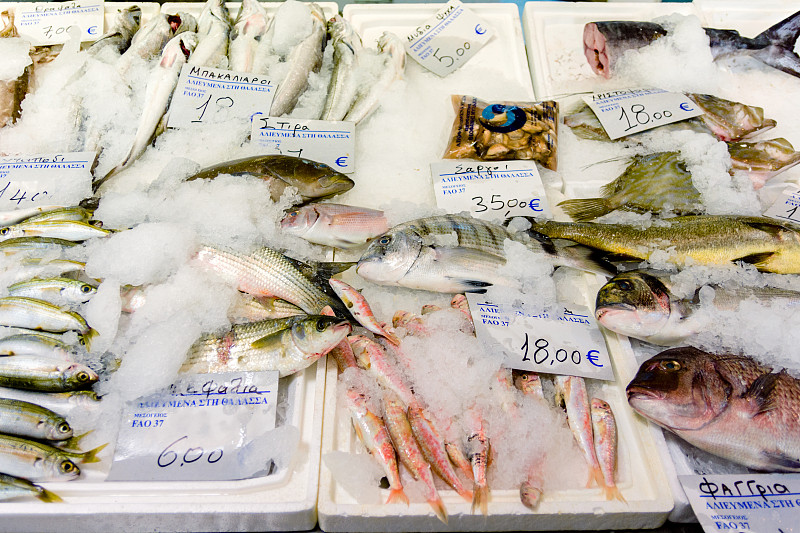 鱼市,鱼类,清新,待售,碎冰,欧洲鲈鱼,金头鲷,海鲷,捕捞鱼,希腊食物