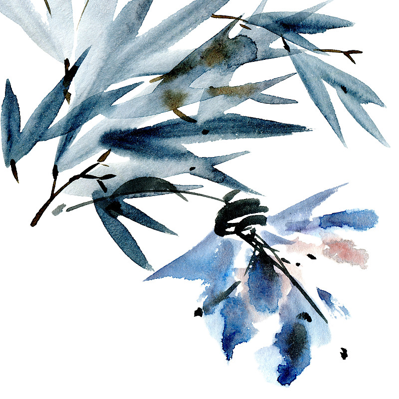 贺卡,水彩画,花序,星和园,水墨画,植物茎,花头,花纹,设计元素,花瓣