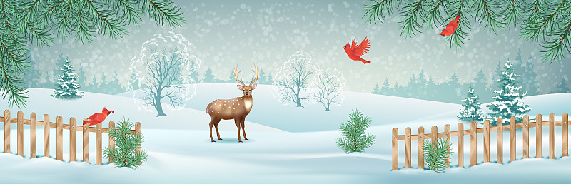 冬天,地形,贺卡,水平画幅,山,雪,绘画插图,鸟类,圣诞树