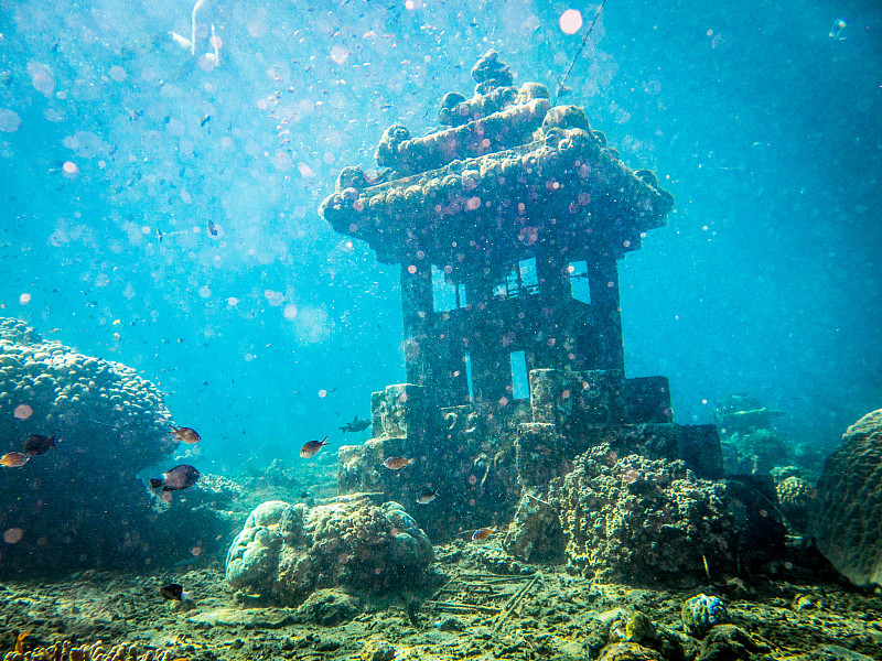 巴厘岛,水下,金字塔形,凹陷的,人工鱼礁,水肺潜水,夏天,责任,运动,礁石