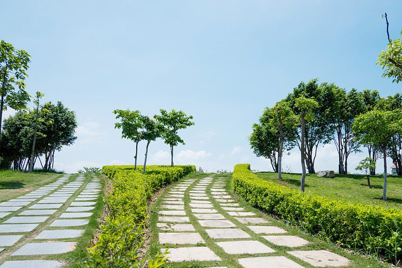 小路,石头,派克大街,天空,留白,枝繁叶茂,草坪,石材,草