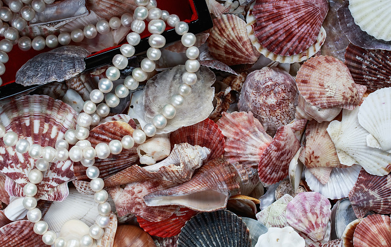 珠子,海洋,背景,多色的,高雅,线绳,珍珠牡蛎,美,水平画幅,形状