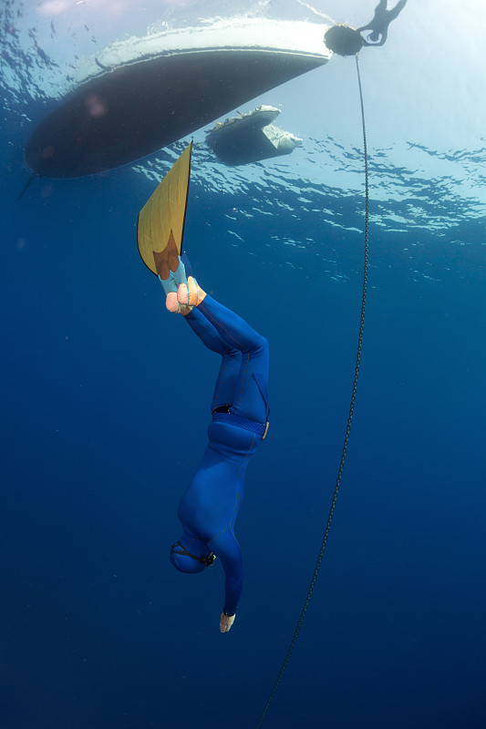 自由潜水,两个人,摒住呼吸,浮潜,浮标,水上运动服,潜水挡板,海豚,呼吸运动,垂直画幅