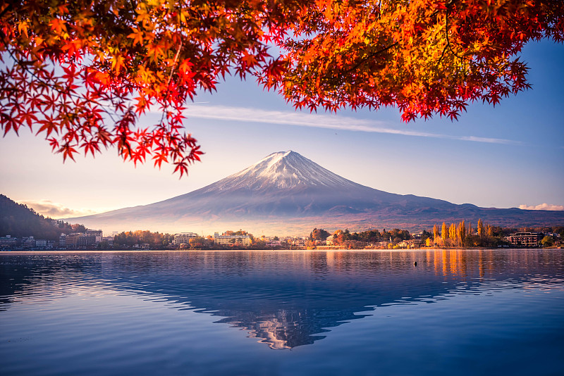 湖,山,富士山,叶子,季节,雾,秋天,日本,红色,早晨