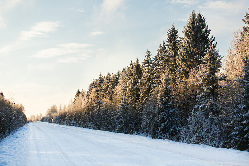 冬天,路,森林,天空,水平画幅,雪,无人,户外,不看镜头,斯堪的纳维亚半岛