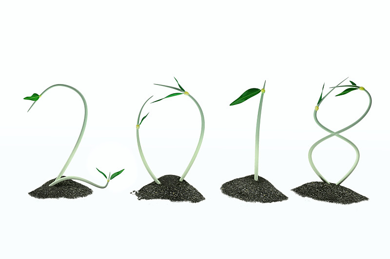 2018,替代能源,水平画幅,无人,幽默,花蕾,植物,环境保护,栽培植物,新生活