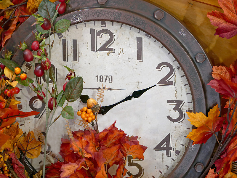钟,秋天,叶子,古董,钟表匠,水平画幅,历日,衰老过程,传统,古老的