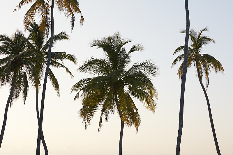 棕榈沙滩镇,日落时分,非都市风光