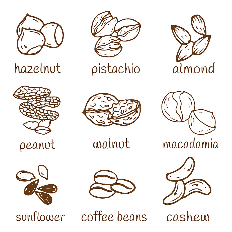 绘画插图,坚果,手,计算机图标,有机农庄,分离着色,烤咖啡豆,艺术,素食,澳大利亚坚果