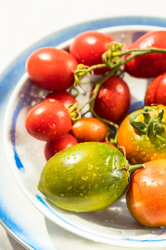 西红柿,多色的,反差,色彩鲜艳,日光,盘子,垂直画幅,维生素a,素食,夏天