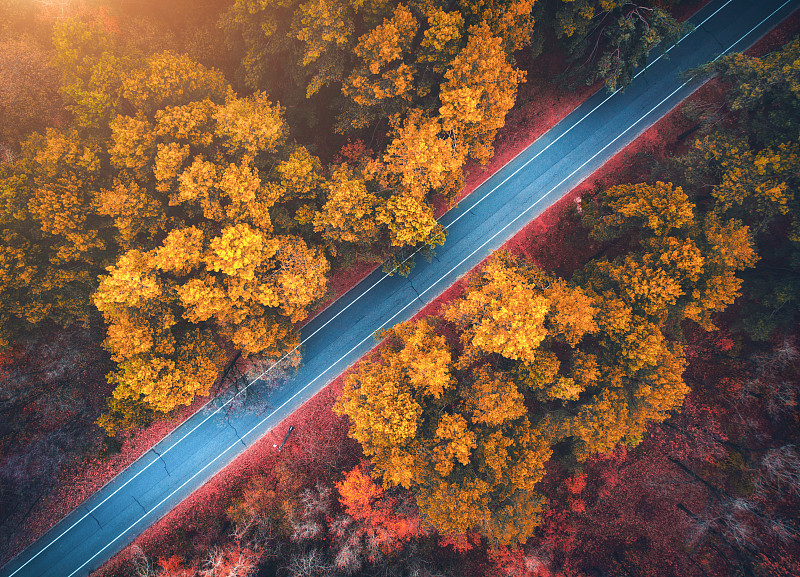 无人机,橙色,地形,秋天,公路,乡村路,在上面,空的,叶子,自然