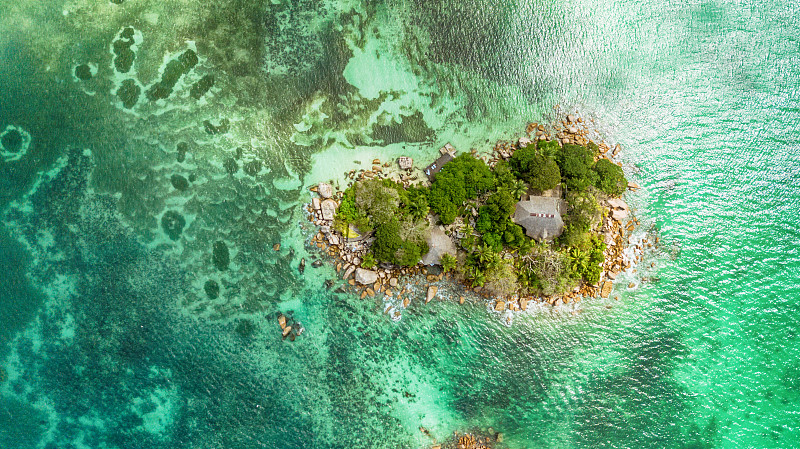 塞舌尔,岛,在上面,小的,高视角,夏天,海岸地形,无人机,棕榈树,礁石
