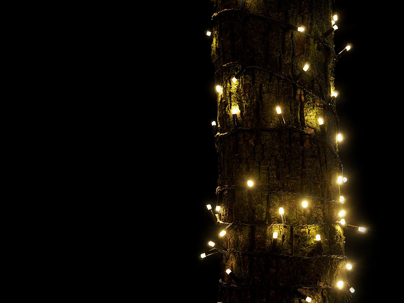 新年前夕,树干,圣诞小彩灯,有包装的,圣诞装饰,街道,在上面,花环,黑色背景,水平画幅