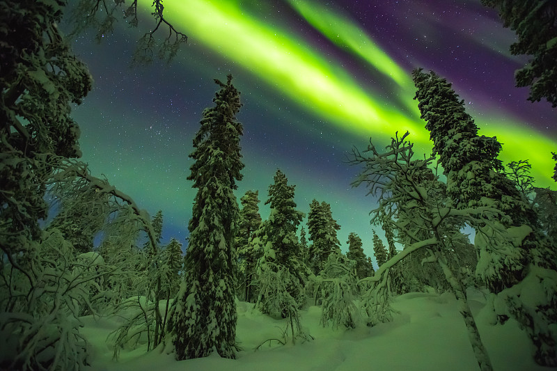 北极光,拉普兰,雪,自然的窗子,戏剧性的景观,彩色图片,极光,冬天