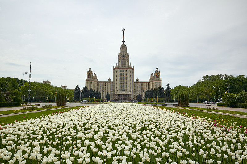 大学,莫斯科,州,正面视角,天空,高视角,东欧,夏天,白色