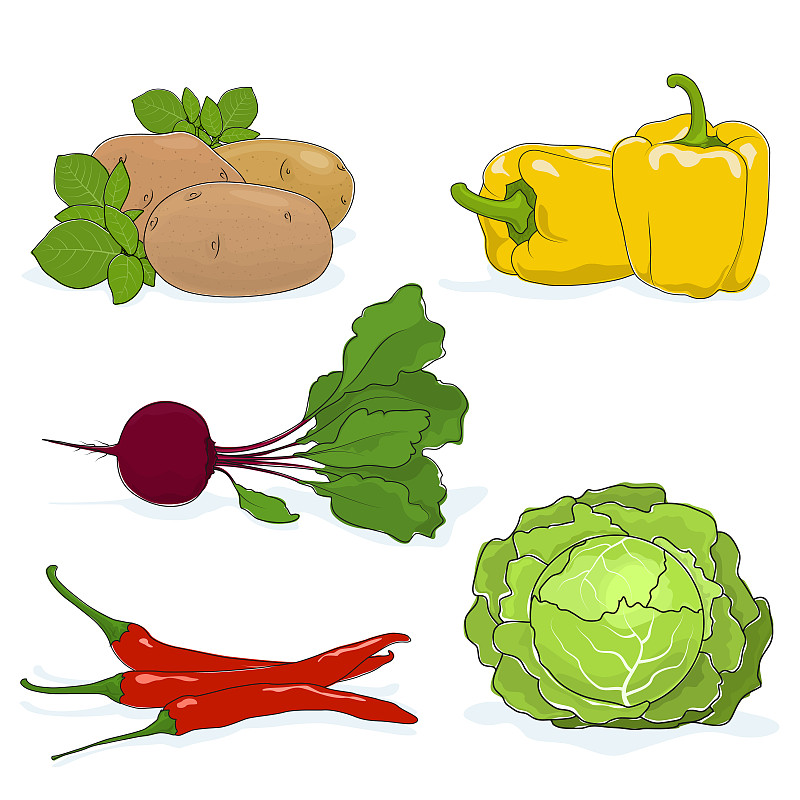 蔬菜,园艺,芳香的,素食,绘画插图,生食,维生素,生物学,椒类食物,特写