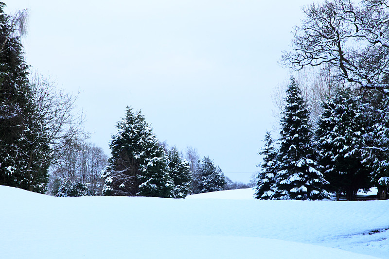 高尔夫球场,冬天,水平画幅,地形,彩色图片,雪,无人,英国,户外,摄影