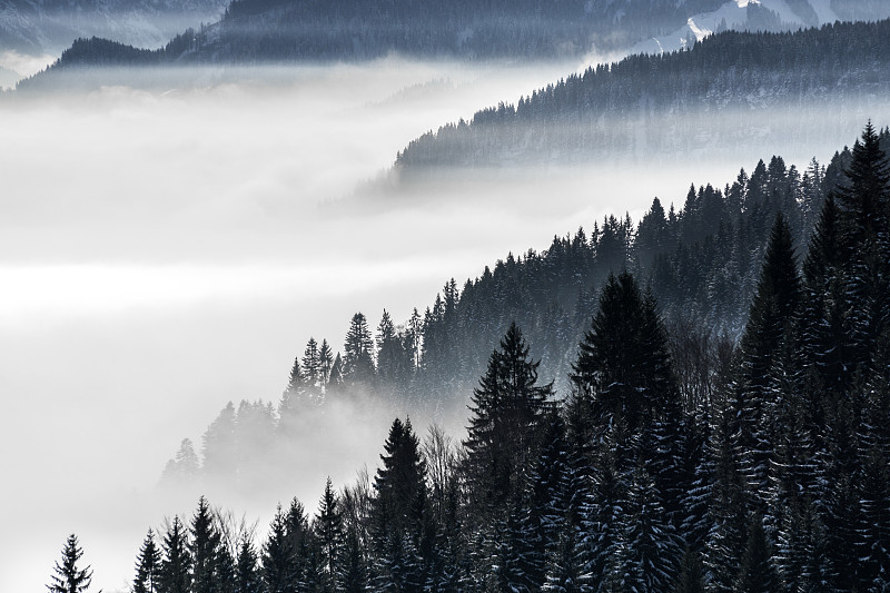 雪,巴伐利亚,冬天,风景,雾,地形,山谷,德国,阿尔卑斯山脉,森林