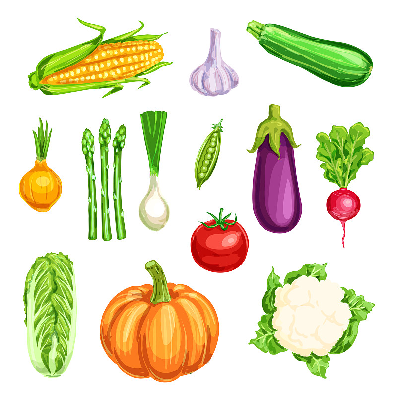 蔬菜,水彩画,有机农庄,图标,绘画插图,胡瓜,素食,无人,南瓜,维生素