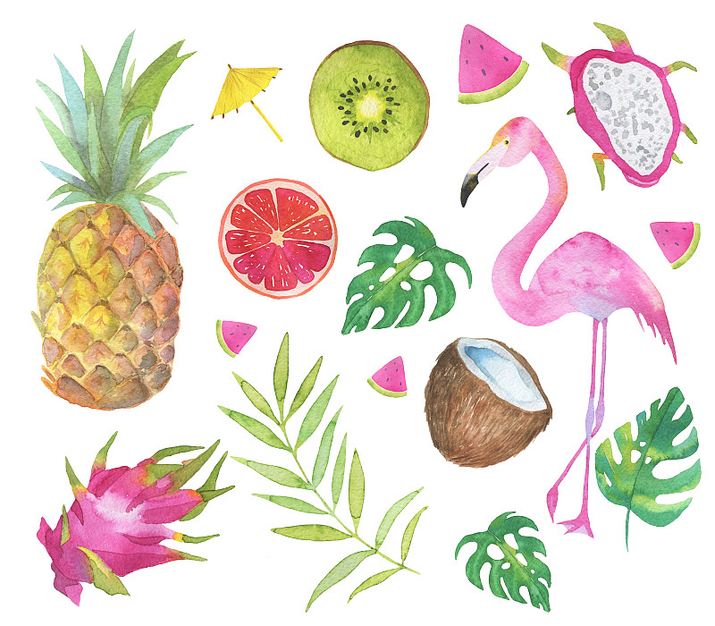 叶子,绿色,水果,火烈鸟,粉色,鸡尾酒,分离着色,白色背景,艺术,水平画幅