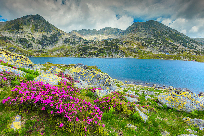 湖,山脉,山,杜鹃花属,罗马尼亚,宏伟,水,天空,休闲活动,夏天