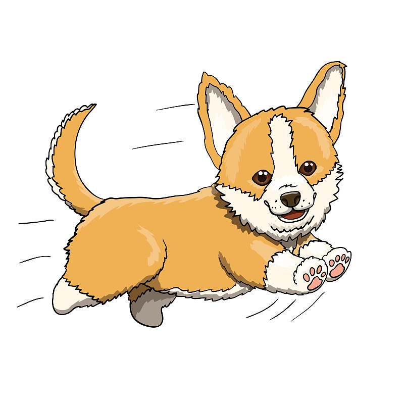卡通,充满的,小狗,威尔士柯基犬,人物插画,慢跑,迅速,业主,智慧,绘画插图