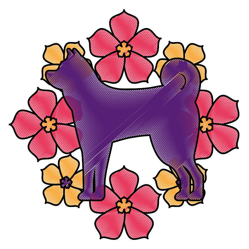 狗,哥伦比亚,历日,犬科的,褐色,小狗,天气,宠物,方形画幅,新的