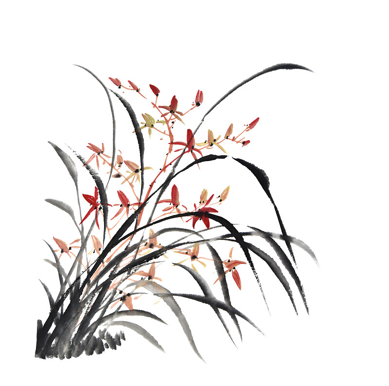 兰花,墨水,野生植物,动物手,日语,水墨画,野花,传统,灌木,笔触