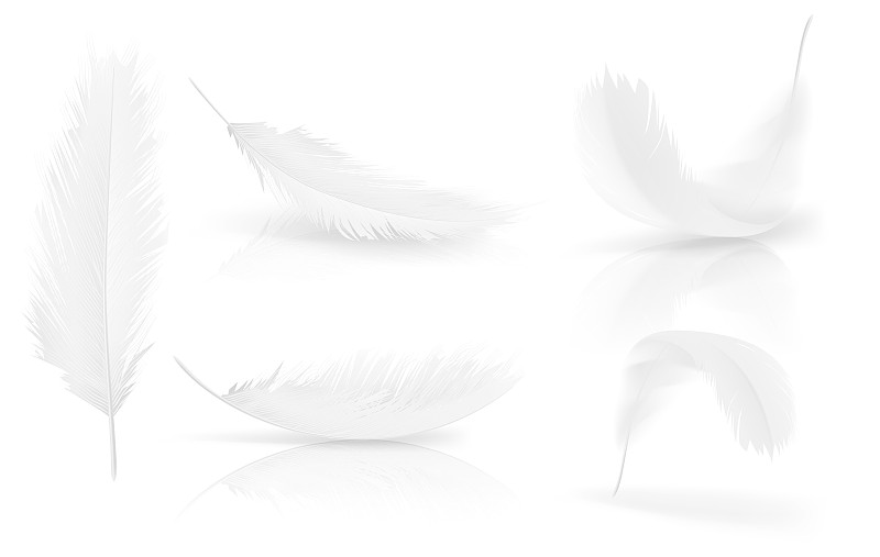 白色,矢量,天使,鸟类,三维图形,翎毛,天空,贺卡,优美