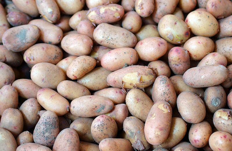 金字塔,肮脏的,堆,新鲜土豆,分离着色,白色,煮熟的新土豆,褐色,新的,水平画幅
