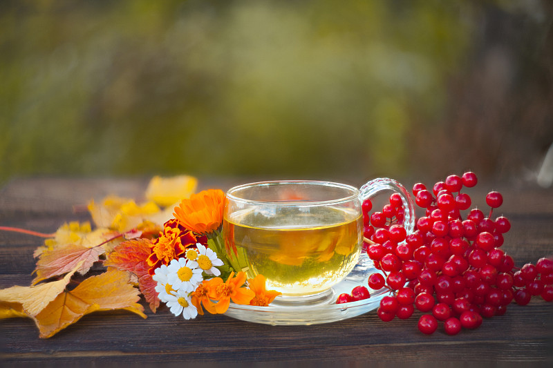 茶,秋天,,桌子,自然美,美味,美,玻璃砖,水平画幅