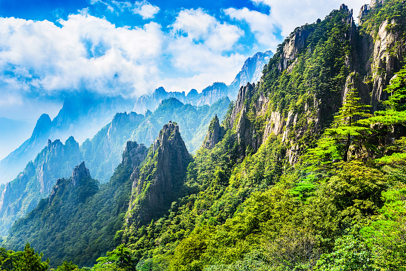 黄山山脉,天空,东亚,旅行者,现代,国际著名景点,运动,松科,著名景点,风景