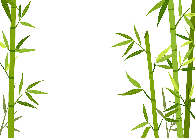 竹,绿色,背景,热带树,植物茎,韩国,芳香的,枝繁叶茂,朝鲜半岛,枝