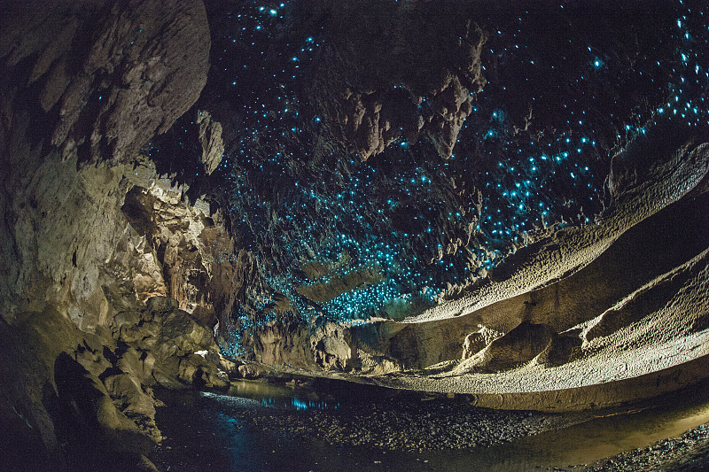 明亮,蠕虫,新西兰,洞穴,闪亮的,生物发光,水平画幅,萤火虫,无人,湿