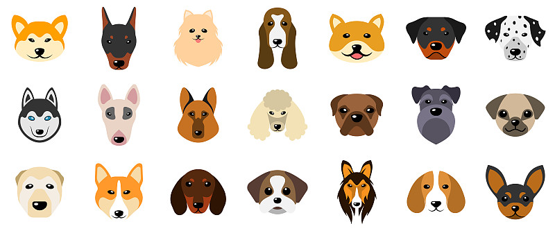 狗,动物头,犬科的,个性,分离着色,白色背景,绘画插图,性格,动物身体部位,卡通